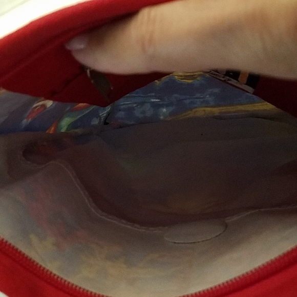 Anne Ormsby Hand Painted Crossbody Bag - Picture 5 of 5